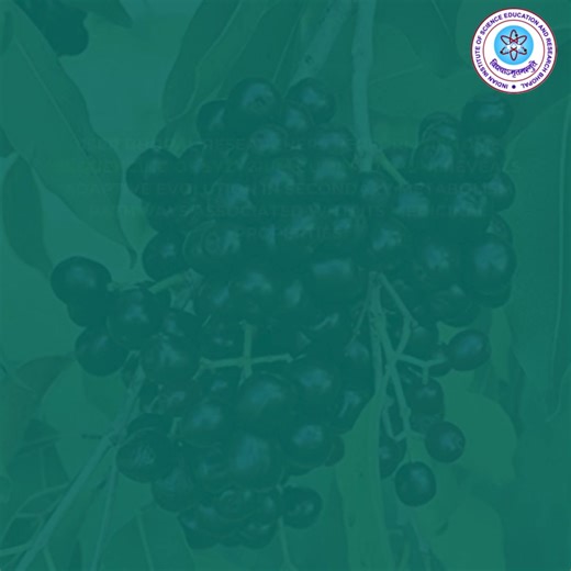 13 reactions | IISER Bhopal researcher's work on “Genome sequencing...