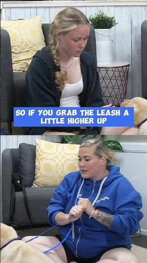 The PERFECT Tool For Puppy Biting Training