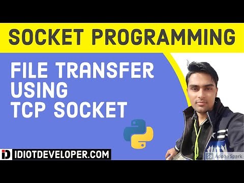 Large File Transfer using TCP Socket in Python3 | Socket Programming in Python