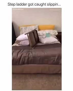 What are you doing step ladder 😳