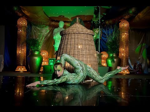 Snake Contortionist | Snake Basket Acrobat | Live Performers