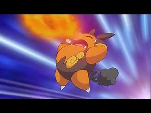 Pokemon: Pignite vs Garbodor