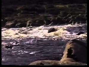 River Landforms GCSE Geography