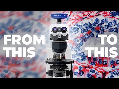 How to adjust the microscope to see more clearly? 10 steps!