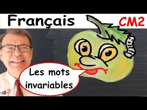 Savoir distinguer des mots invariables en français + exercices : CM2 # 2