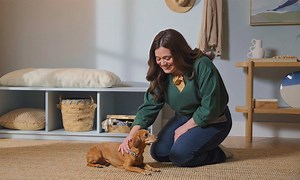 How to Teach a Dog to Lie Down | Chewy