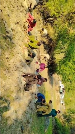 Sheep Shearing Process | Happy & Healthy Sheep | Traditional Wool Harvesting 🐑