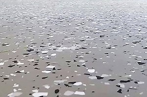 What to Know About Polyaspartic Garage Floor Coating