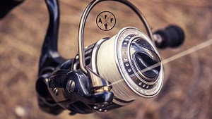 Best Saltwater Spinning Reels (In-Depth Reviews) | Updated 2025