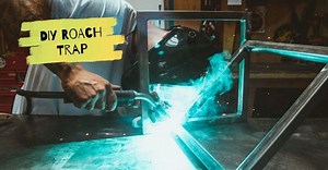 5 DIY Roach Traps (Try these!) - Pest Survival Guide