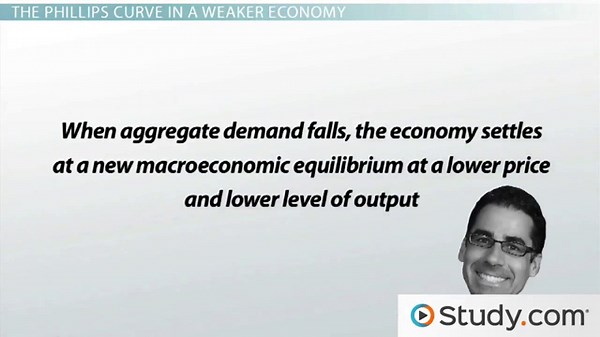 Phillips Curve in the Short & Long Run | Definition & Graph