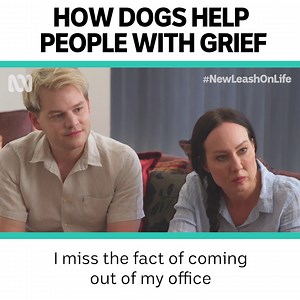 "Dogs are incredibly healing." ❤️ | ABC iview