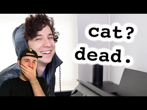 When you finally write a hit song but your cat is dead - Daniel Thrasher Reaction