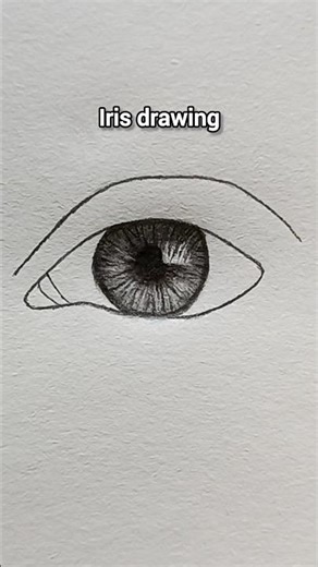 How to draw an iris (easy)