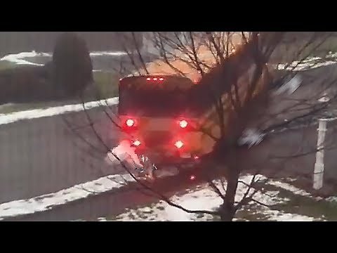 The Magic School Bus