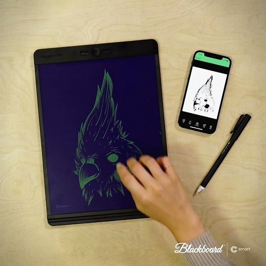 Instantly Sync Drawings with Blackboard™ Smart Pen by Boogie Board™