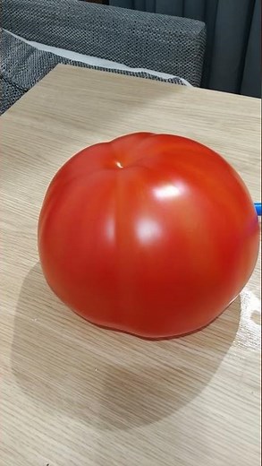 Exploding a tomato