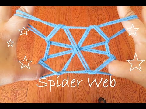 ((Medium)) Spider Web