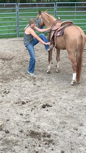 912K views · 6.8K reactions | my boyfriend ruined the video of the first ride on this mustang by talking  #horse #horsereels #horsefarm #funnyhorse #farm #adorable #horseriding #usa #trending | Einstein The Donkey | Facebook