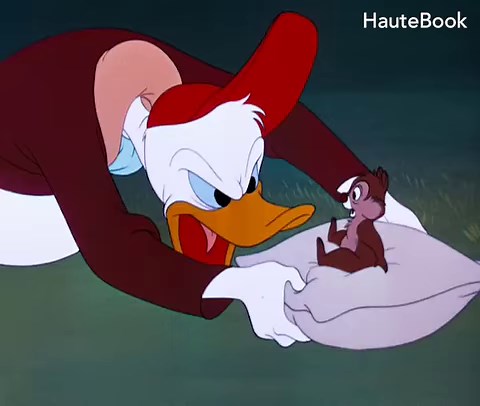 6.4M views · 145K reactions | #DonaldDuck gets troubled as soon as Dale starts riding an airplane. ;) :P Enjoy the best second part of the movie ''Test Pilot Donald'' (1951). :) For more such funny #cartoons, visit - https://goo.gl/5sz6CG | HauteBook | Facebook