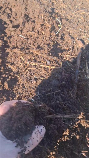 14K views · 20 reactions | Humus- Glistenjak 25 din/lit- PROSEJAN 20...