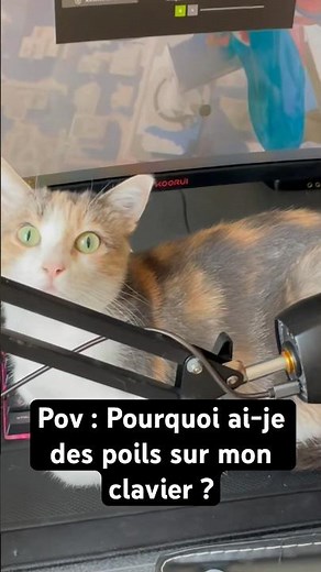 Le chat et la souris (gamer)😂