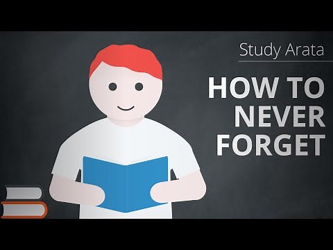 Encoding: storing information in our long-term memory | Study Arata 20