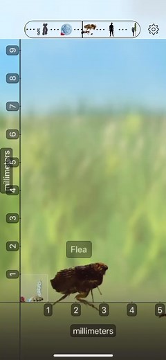 Explore the Universe with Universal Zoom App