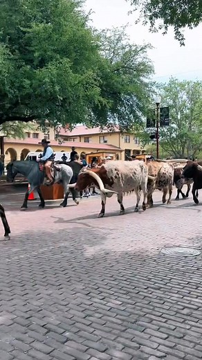 The coolest thing EVER!!! 🇺🇸 | imjoshfromengland2