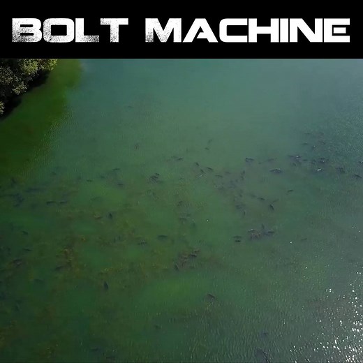 95K views · 516 reactions | The Nash Bolt Machine is the supreme self-hooking controller  Whether it's under your rod tips or at 100 yards there's a size in the range to suit all your surface fishing needs ☀️ #nashtackle | Nash Tackle | Facebook