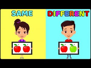 Same and Different | Same and Different for Preschool and Kindergarten | Educational Videos For Kids