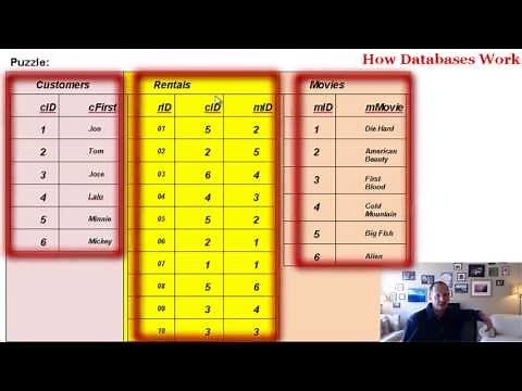 How Do Databases Work?