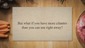 How to Freeze Cilantro: A Fresh Way to Store Your Herbs - Press To Cook