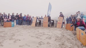 19K views · 523 reactions | Watch northern elephant seal pups Vienne and Origami return to the big blue 凉 From rescue  to critical care 喙 to this rewarding return, these young pups received a second chance thanks to caring people just like you  and our friends at Yamaha Rightwaters, who sponsored their release celebration   Pedal Born Pictures | The Marine Mammal Center | Facebook