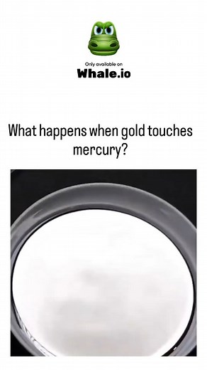 TrendTok Hub on Instagram: "The X post by showcases a gold bar dissolving in mercury, amassing 3.8 million views and highlighting the rapid amalgamation process where the metal vanishes into a silvery alloy. This reaction forms a gold-mercury amalgam due to mercury's ability to wet gold's surface and disrupt its atomic lattice, as explained in chemistry resources; the gold can be recovered by heating to evaporate the mercury. Amalgamation has been a traditional gold extraction method since ancie