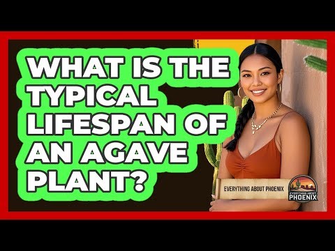 What Is The Typical Lifespan Of An Agave Plant?