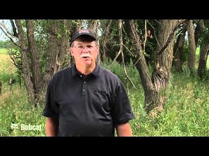 Bobcat Forestry Cutter Attachment: Introduction