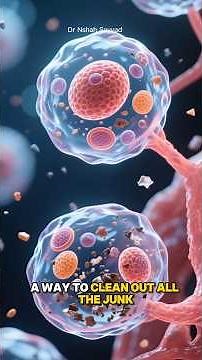 Autophagy: How Fasting Triggers Your Body’s “Cellular Reset Button” (Backed by Science)