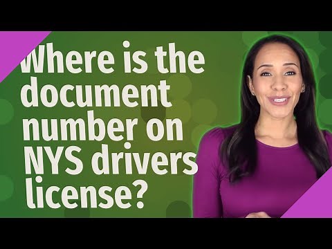 Where is the document number on NYS drivers license?