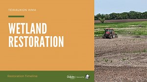 11 reactions | Wetlands provide significant habitat for many mammals...