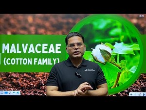 Malvaceae Family Explained! | Botany Made Easy | NEET, Class 11, Biology Lovers
