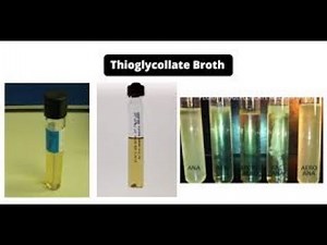 Thioglycollate Agar / Thioglycollate Broth; Definition, Composition, Microbiology, Preparation, Uses