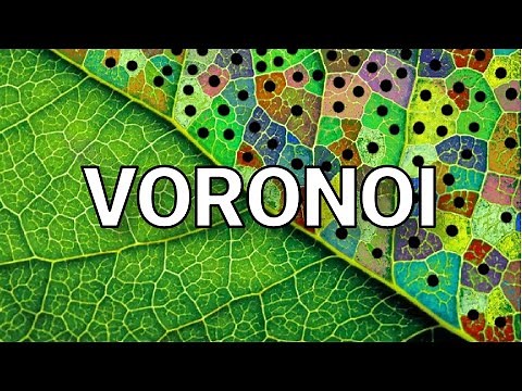 I Cracked The Code Behind Nature! ( Voronoi Diagram Explanation )