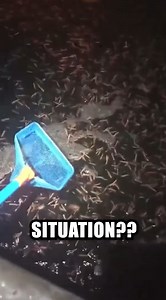 16K views · 18 reactions | Don't Jump In  | MKP Studios | Facebook