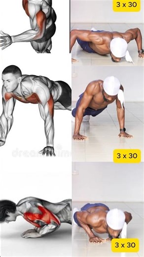 Wide vs Diamond vs Regular Pushups – Try This Chest Builder at Home! 💪