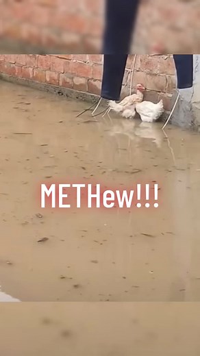 Funny Construction Fails Compilation | Construction Comedy Highlights