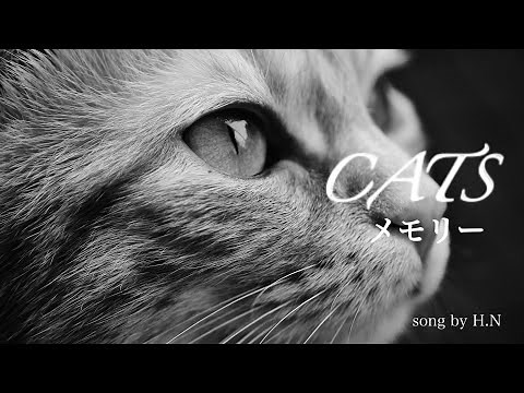 ミュージカル「CATS 」メモリー（日本語：歌詞付き）