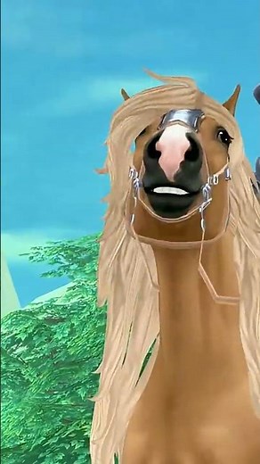 Black Forest Horse Spoiler 🐴 All Gaits, Coat Colors, Manes and Special Move🌲Star Stable Online