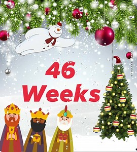 2.5K views · 258 reactions | 46 weeks until Christmas Day Saturday the 25th of December. | My Christmas Countdown | Facebook
