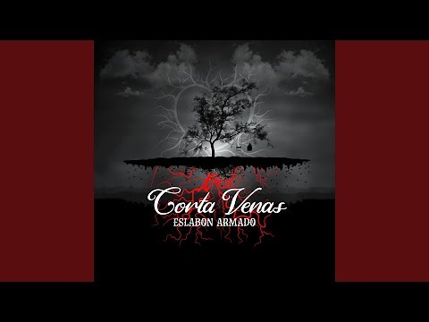 Mi Historia Entre Tus Dedos